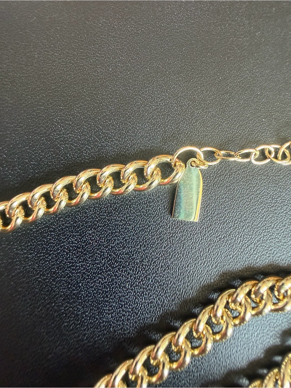 Electric Picks Lincoln Necklace - Picture 3 of 7